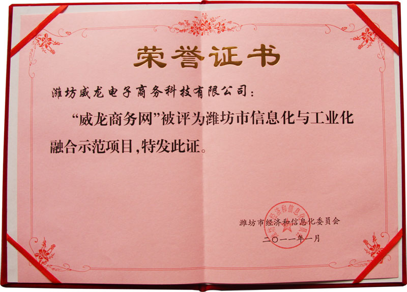 威龍公司喜獲濰坊市首批信息化與工業(yè)化融合優(yōu)秀服務(wù)機(jī)構(gòu)稱號