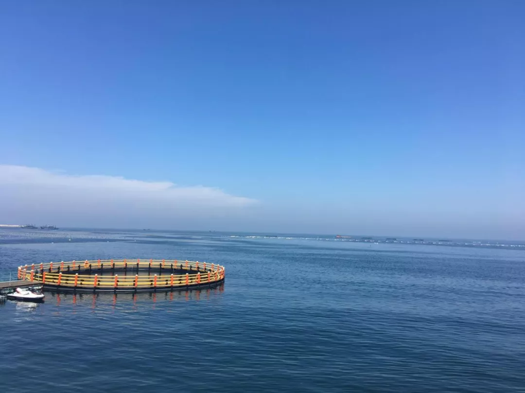 威海二日游，共享夏日情